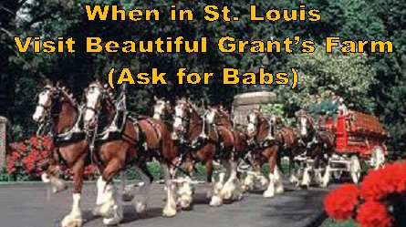 When in St. Louis Visit Grants Farm.jpg